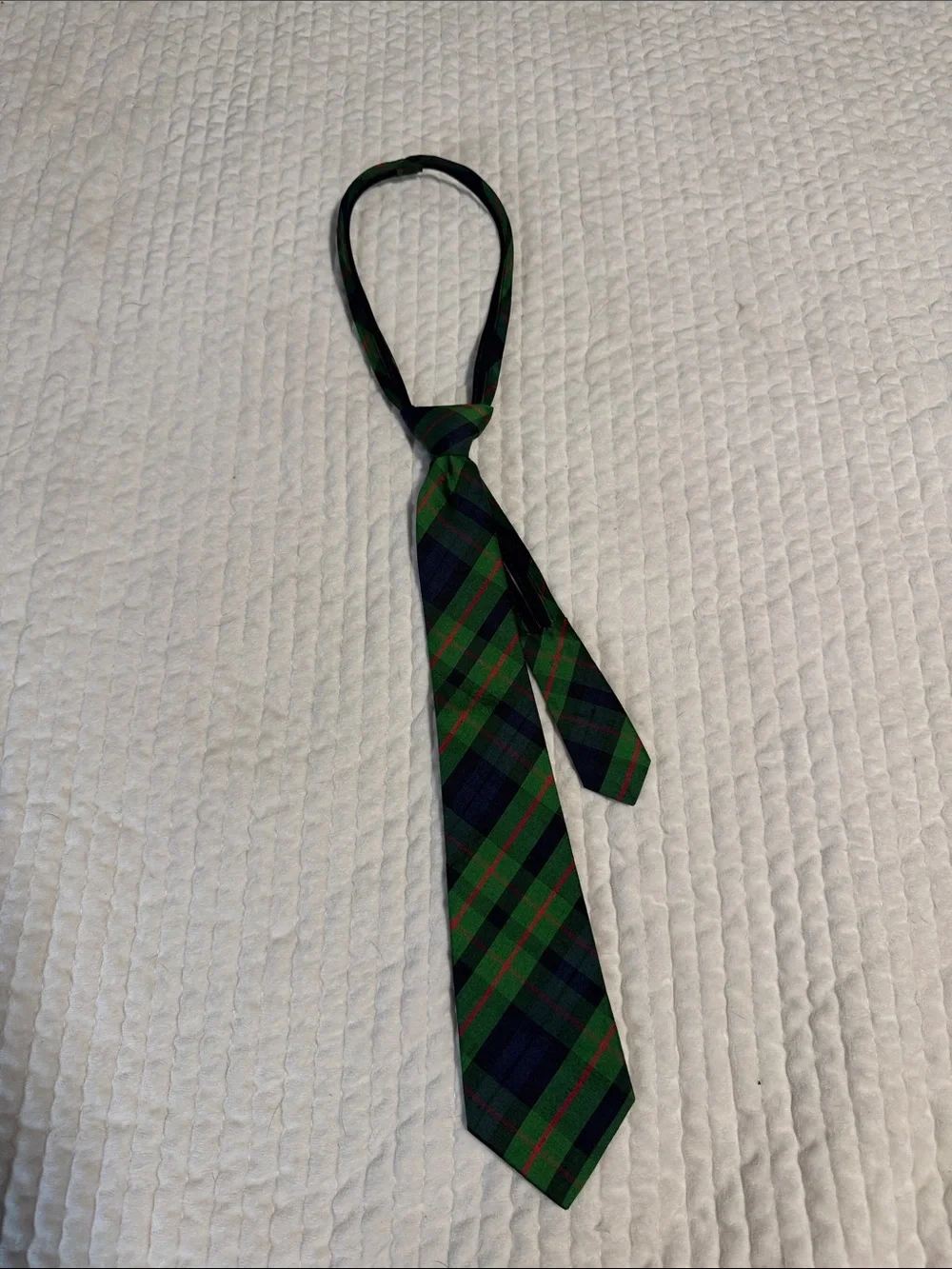 Hartstrings Green and Navy Plaid Kids Silk zip Tie with Red Accents